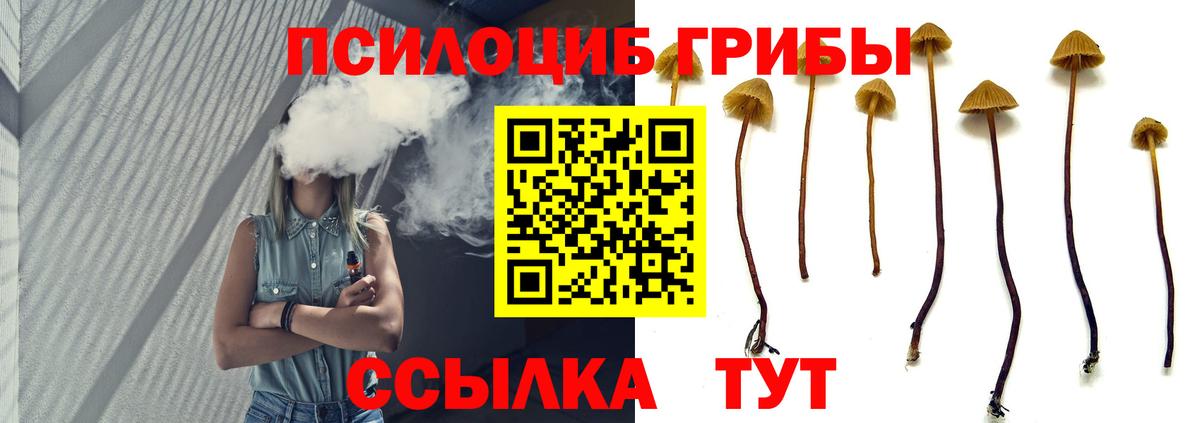 Кимовск  Галлюциногенные грибы мухоморы  Вход с VPN  закладки  Псилоцибиновые грибы ЛСД 